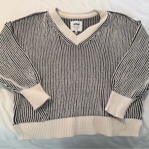 Aerie Black and White V-Neck Sweater
